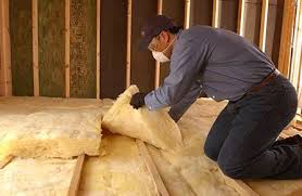 Best Insulation for New Construction  in Dexter, GA